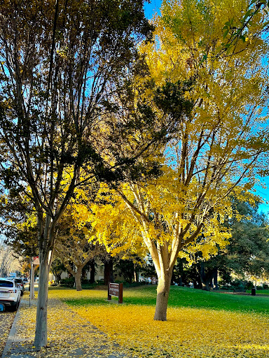 Pioneer Memorial Park image