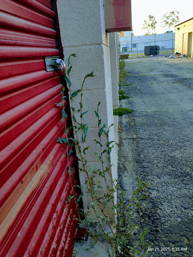 Self-Storage Facility «CubeSmart Self Storage», reviews and photos, 7600 Arlington Ave, Riverside, CA 92503, USA