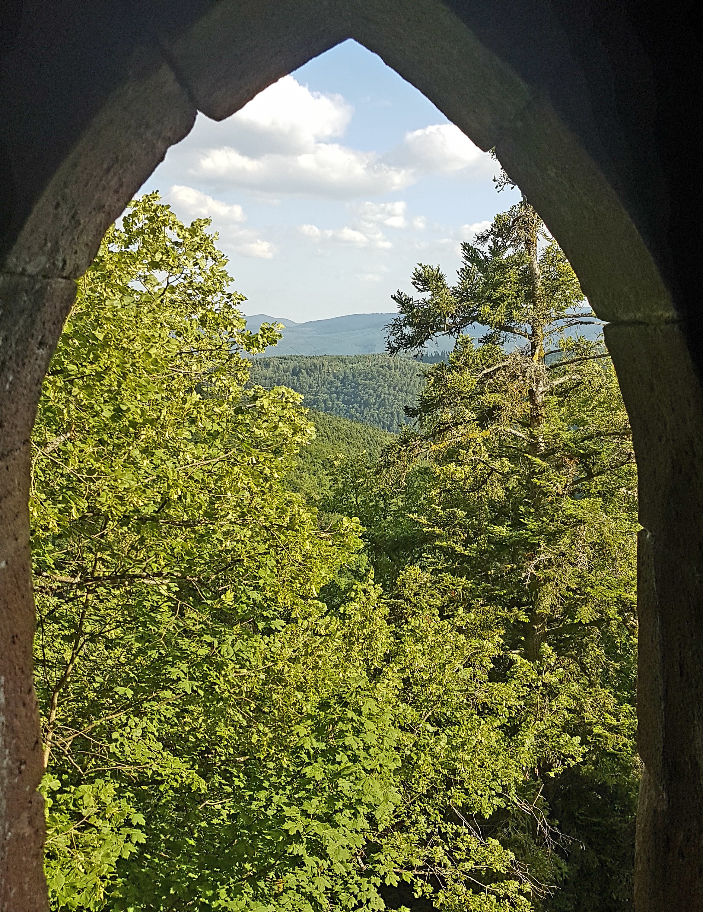 Photo n° 3 de l'avis de Thomas.c fait le 30/07/2017 à 11:48