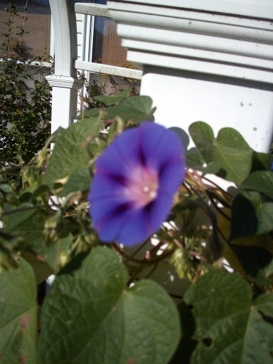 Art Museum «Richmond Art Museum», reviews and photos, 350 Hub Etchison Pkwy, Richmond, IN 47374, USA