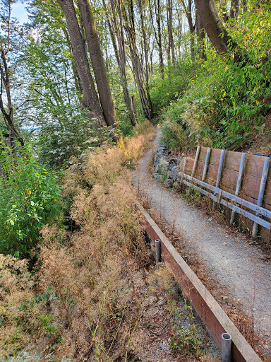 Park «Lewis Park», reviews and photos, 1120 15th Ave S, Seattle, WA 98144, USA