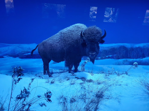 History Museum «The State Museum of Pennsylvania», reviews and photos, 300 North St, Harrisburg, PA 17120, USA