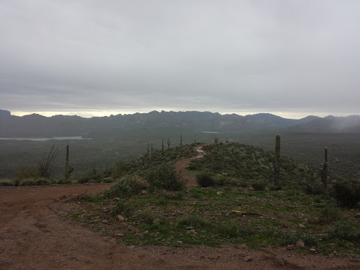 Tour Operator «Stellar Adventures», reviews and photos, 4026 E Broadway Rd, Phoenix, AZ 85040, USA