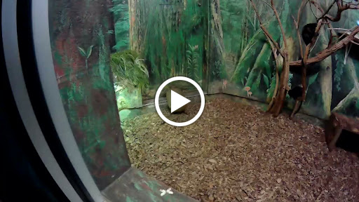 Zoo «Lake Superior Zoo», reviews and photos, 7210 Fremont St, Duluth, MN 55807, USA