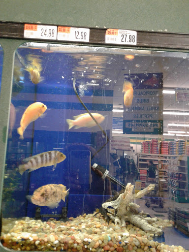 Pet Supply Store «Pet Supplies Plus», reviews and photos, 18956 Livernois Ave, Detroit, MI 48221, USA
