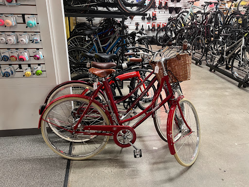 Bicycle Store «Cycle Loft», reviews and photos, 43 Middlesex Turnpike, Burlington, MA 01803, USA