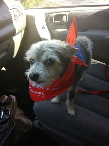 Pet Supply Store «PetSmart», reviews and photos, 865 Colusa Ave, Yuba City, CA 95991, USA