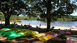 Plage du Lac de Feyt'in fotoğrafı çok temiz temizlik seviyesi ile