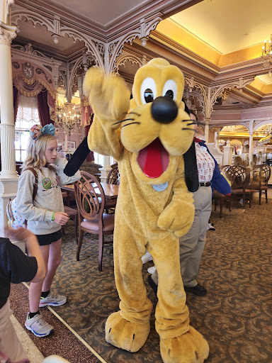 Minnie & Friends - Breakfast in the Park