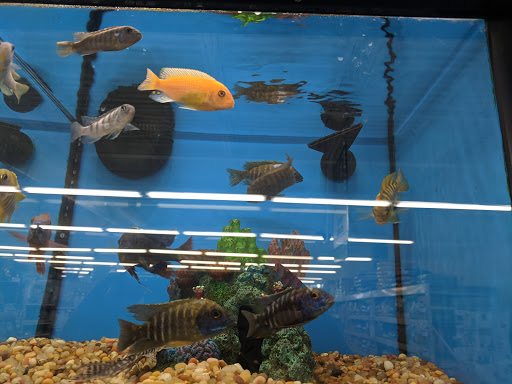 Pet Supply Store «Pet Supplies Plus», reviews and photos, 1240 Seminole Trail, Charlottesville, VA 22901, USA