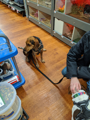 Pet Supply Store «Pet Supplies Plus», reviews and photos, 391 Broadway, Hillsdale, NJ 07642, USA