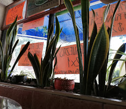 TAQUITOS FRONTERA photo