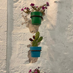 Photo n°3 de l'avis de Nelly.o fait le 17/08/2021 à 23:48 sur le  Controra à Locorotondo