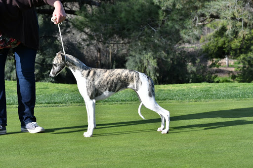 Golf Club «Canyon Crest Golf Course», reviews and photos, 5365 Vía Donoso, Riverside, CA 92507, USA