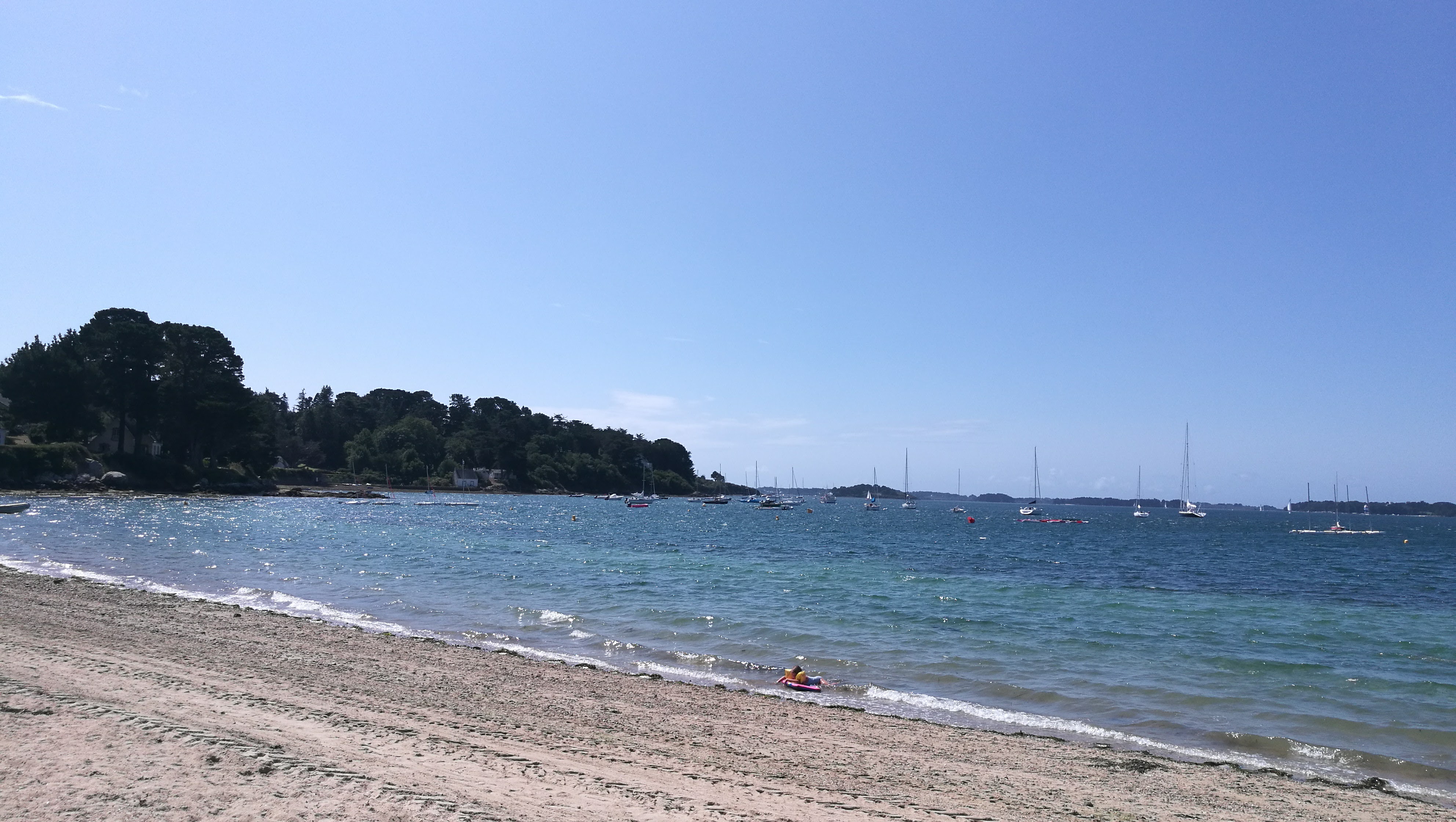 Photo n° 3 de l'avis de Yann.e fait le 19/08/2017 à 08:45