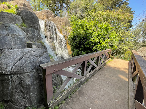 Park «Huntington Falls», reviews and photos, 50 Stow Lake Dr, San Francisco, CA 94118, USA