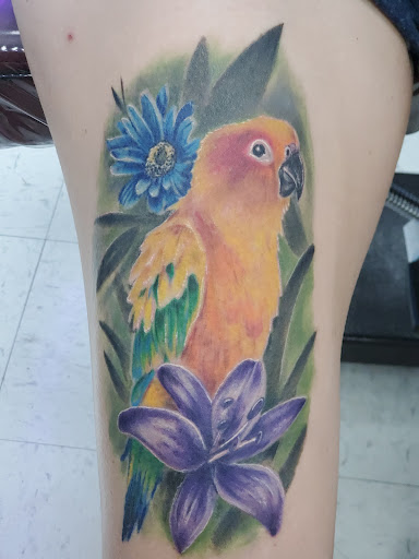 Tattoo Shop «Next Generation Tattoo & Body Piercing», reviews and photos, 1231 E Republic Rd, Springfield, MO 65804, USA