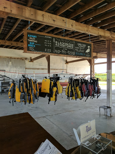 Boat Rental Service «Blackwater Paddle and Pedal Adventures», reviews and photos, 2524 Key Wallace Dr, Cambridge, MD 21613, USA