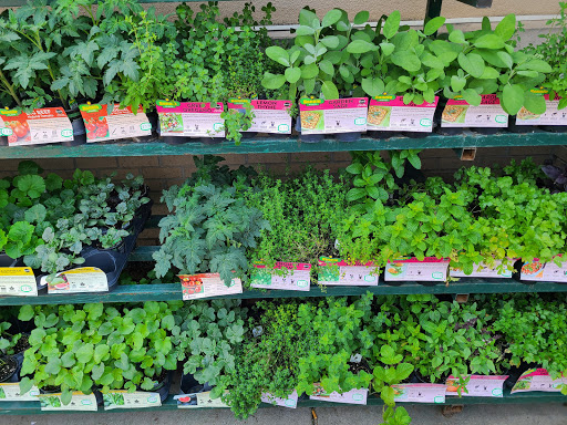 Grocery Store «Kroger», reviews and photos, 101 W Oak St, Conway, AR 72032, USA