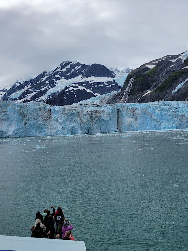 Bus Tour Agency «Rek Travel, LLC», reviews and photos, 5825 W Irving Park Rd, Chicago, IL 60634, USA