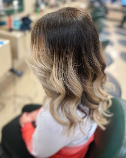 Hair Salon «BoRics Hair Care», reviews and photos, 1968 Greentree Rd, Pittsburgh, PA 15220, USA