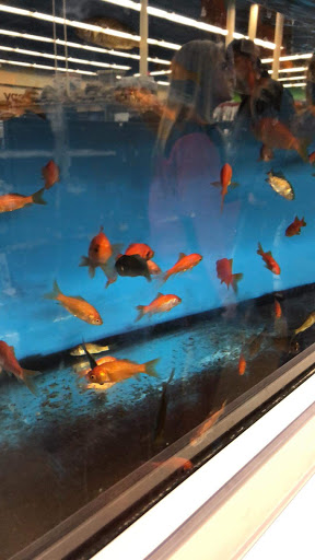Pet Supply Store «Petco Animal Supplies», reviews and photos, 1680 Campbell Ln, Bowling Green, KY 42104, USA