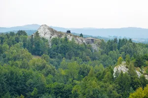 Castle on the Mount Birów image