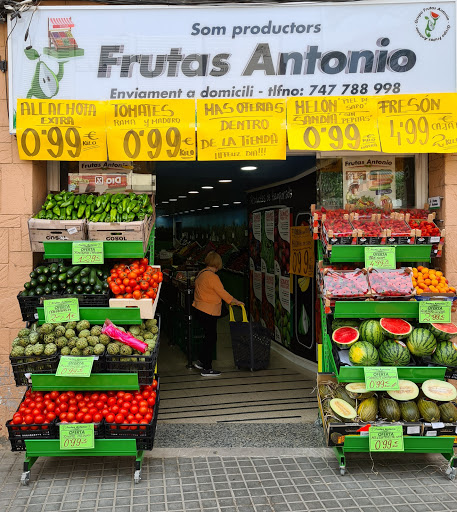 Fruites I Verdures Antonio S. L.