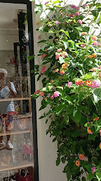 Photo n°89 de Le Patio'Né à Aigues-Mortes ()