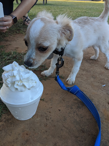 Ice Cream Shop «Shivers Natural Snow», reviews and photos, 5651 US-259, Longview, TX 75605, USA