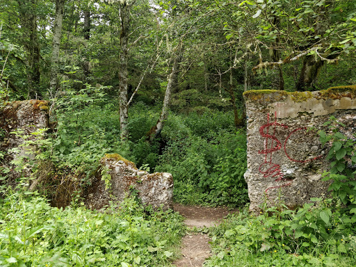 Tourist Attraction «Melmont ghost town», reviews and photos, Carbon River Rd, Carbonado, WA 98323, USA