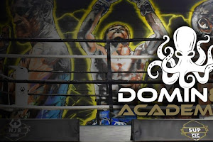 Domin8 Academy