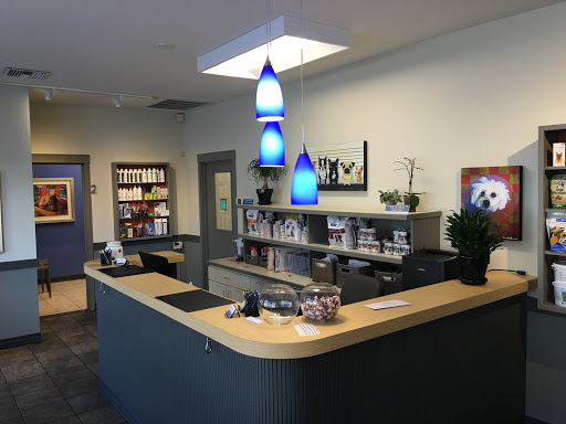 Eastlake Veterinary Hospital: Carl Anderson, DVM image