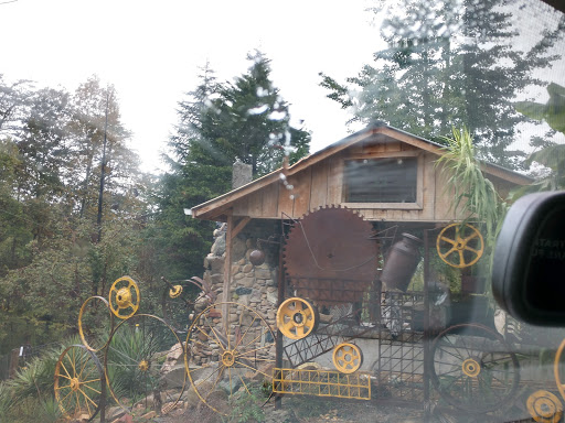 Pet Store «Ponds & Plants», reviews and photos