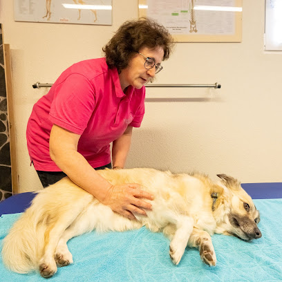Hund in Balance Hundephysiotherapie