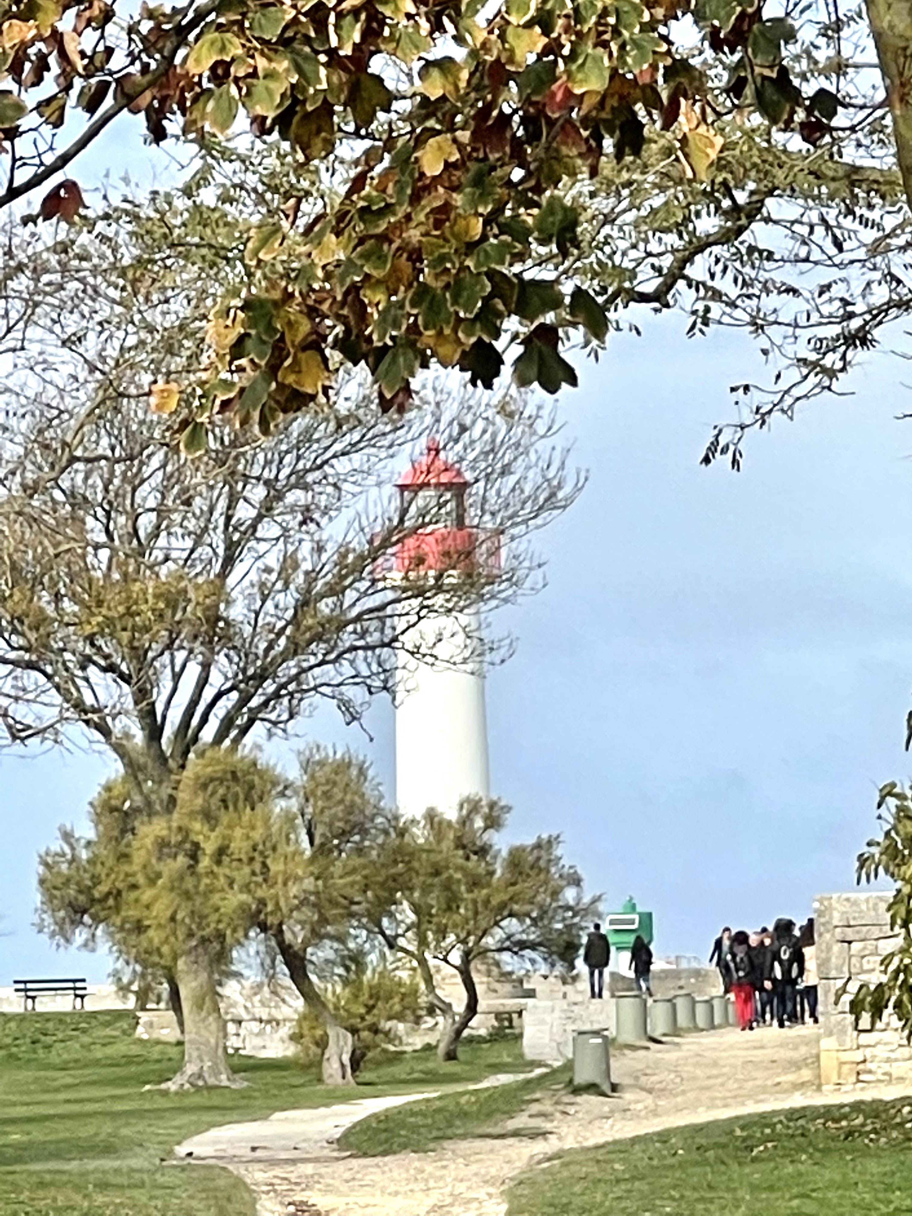 Photo n° 1 de l'avis de David.e fait le 20/11/2021 à 11:00