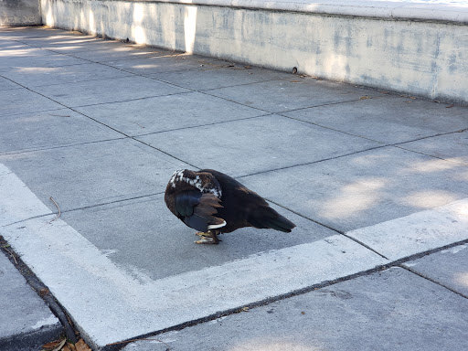 Park «Antonio Maceo Park», reviews and photos, 5135 NW 7th St, Miami, FL 33126, USA