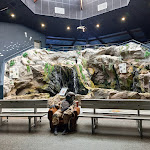 Photo n° 17 de l'avis de Christopher.n fait le 07/02/2024 à 07:24 pour Océarium du Croisic à Le Croisic