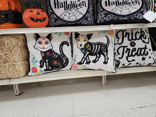 Craft Store «Michaels», reviews and photos, 751 N Hwy 67, Cedar Hill, TX 75104, USA