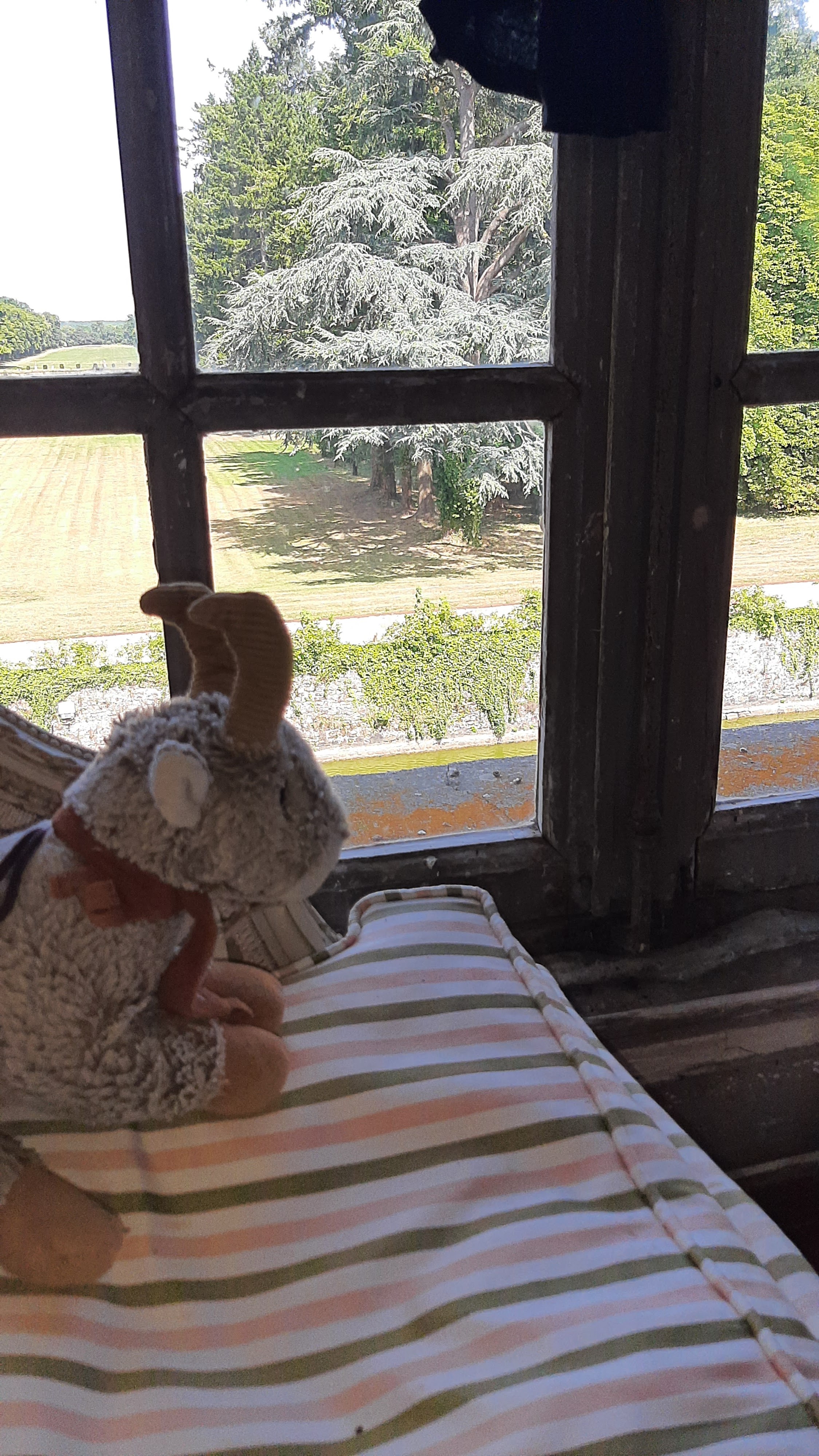 Photo n° 11 de l'avis de Armando.a fait le 18/07/2022 à 07:06