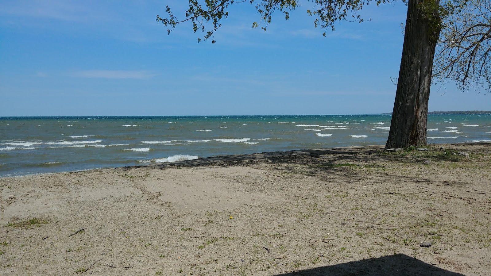 Silver Creek Firemen's Beach'in fotoğrafı - rahatlamayı sevenler arasında popüler bir yer