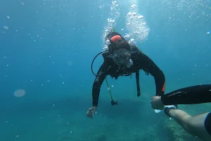 Saranda Diving image