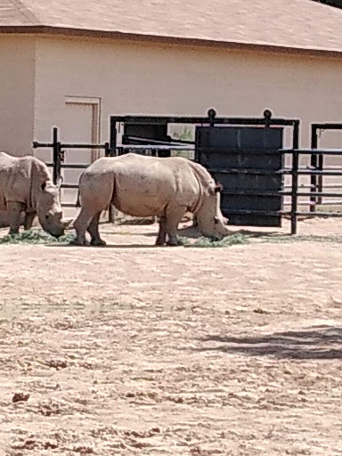 Zoo «Wildlife World Zoo, Aquarium & Safari Park», reviews and photos, 16501 W Northern Ave, Litchfield Park, AZ 85340, USA