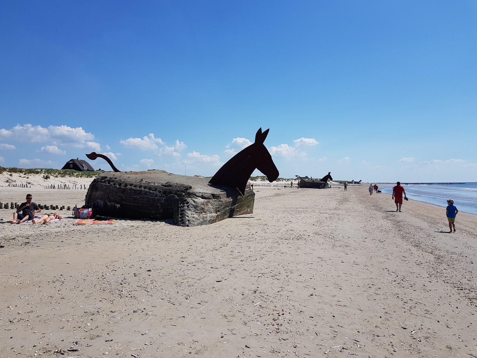 Φωτογραφία του Hvidbjerg Beach και η εγκατάσταση
