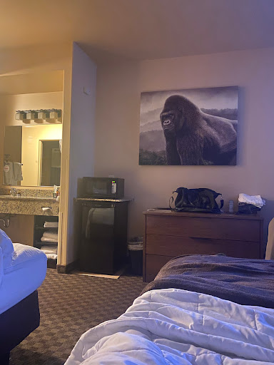 Resort «Kalahari Resorts and Conventions», reviews and photos, 7000 Kalahari Dr, Sandusky, OH 44870, USA