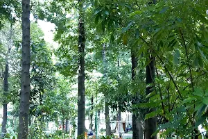 Taman Ciniru image