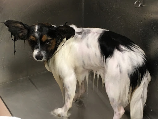 Pet Supply Store «Lemos Feed & Pet Supply», reviews and photos, 1320 Main St, Morro Bay, CA 93442, USA