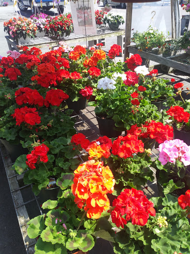 Pet Supply Store «Country Acres Farm & Pet Center», reviews and photos, 730 Saratoga Rd, Burnt Hills, NY 12027, USA