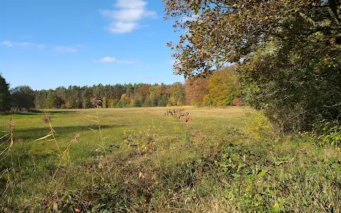 Im Mörsbacher Grund von Darmstadt-Arheilgen image