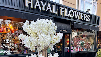 Hayal Flowers